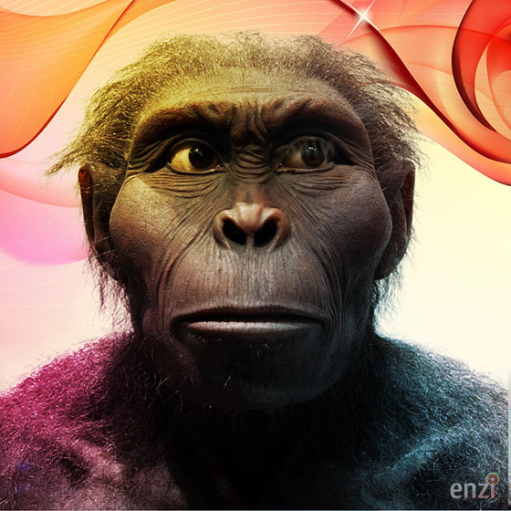 Image result for Kenyanthropus platyops